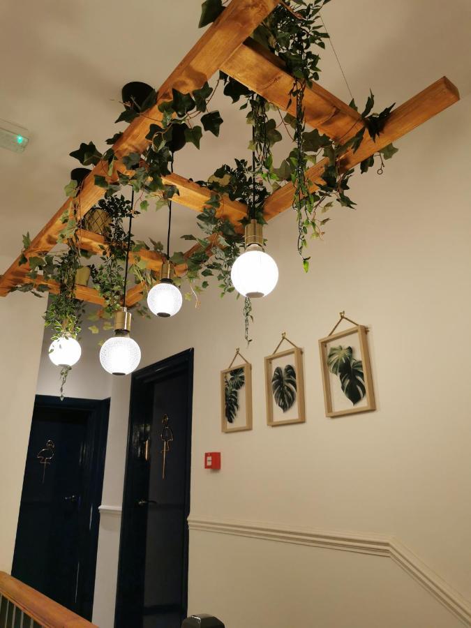 Flamingo Lodge 토키 외부 사진